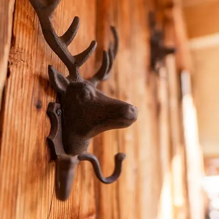 Chalet Am Oberhausberg Haus im Ennstal